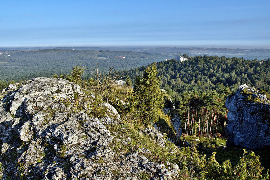 Hotel Fajkier Крочице Экстерьер фото